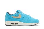 Nike Air Max 1 PRM ‘Baltic Blue’ FB8915-400  Wabasta store