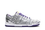 Nike Dunk Low ‘Flip The Old School’ DJ4636-100 Wabasta store